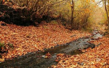 طبیعت زیبای پاییزی در طرقبه