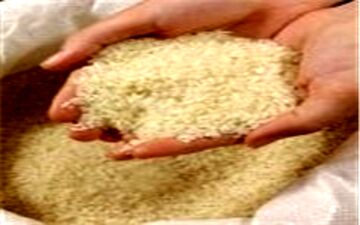 برنج خارجی به جمع گرانی ها پیوست