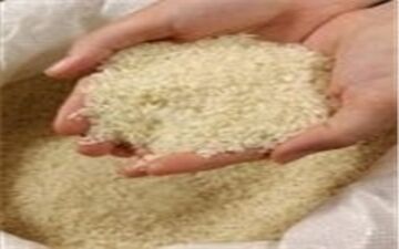  افزایش 10 درصدی قیمت برنج ایرانی در اسفندماه 