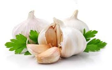 بهترین زمان برای مصرف سیر