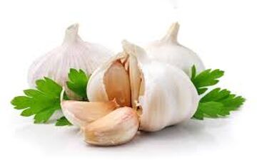 بهترین زمان برای مصرف سیر