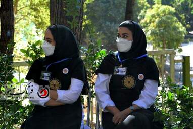 روزجهانی چوب 