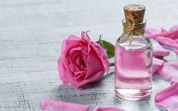 خواص بی‌نظیر گلاب برای بدن