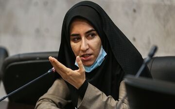 سخنان کوبنده سارافلاحی در مورد خودروسازان/ خودرو ملی نیست، نکبت ملی است! + ویدئو
