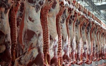افزایش ۱۹ درصدی تولید گوشت قرمز 