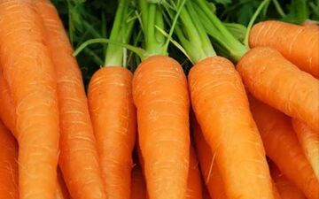 حتما هفته‌ای سه بار هویج بخورید


