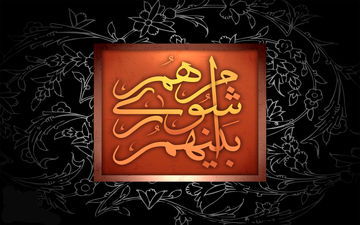 اعضا در رابطه با اختصاص بودجه به مساجد اختلاف نظر داشتند