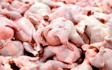 قیمت مرغ باز هم گران شد + جزئیات