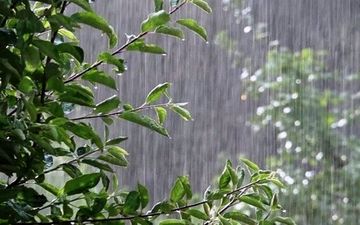 
بارش باران در اغلب مناطق کشور