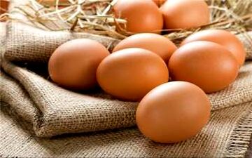  خرابکاری در صادرات تخم‌ مرغ