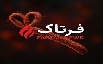 هشدار جدی؛ ایبولا چگونه از حیوانات به انسان سرایت می‌کند؟