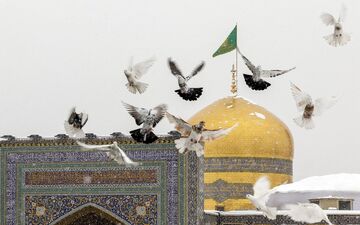 لحظات تماشایی از بارش شدید تگرگ در حرم مطهر رضوی؛ صحن‌های امام رضا (ع) سپیدپوش شد + ویدیو