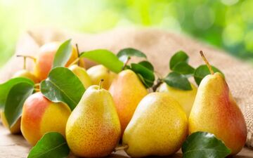خواص گلابی برای سلامتی بدن


