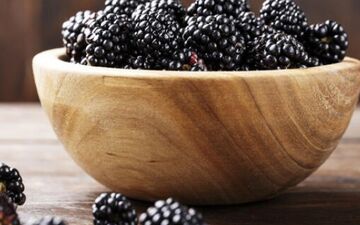 این مواد غذایی برای سلامت روده بسیار مفید هستند