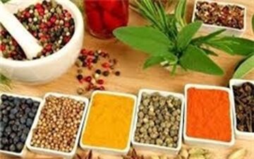 افراد محافظه‌کار سرد مزاج هستند/ از نظر طب سنتی کدام مزاج بهتر است؟