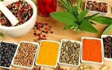 افراد محافظه‌کار سرد مزاج هستند/ از نظر طب سنتی کدام مزاج بهتر است؟
