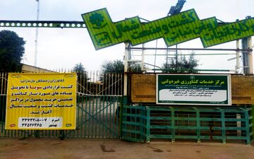 توسعه کشت قراردادی دانه های روغنی در مازندران