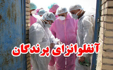 آنفلوانزای مرغی به آذربایجان‌غربی رسید
