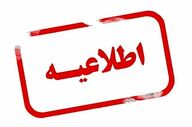 اطلاعیه شرکت سرمایه‌گذاری مس سرچشمه درباره حواشی اخیر
