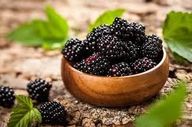 این میوه برای روده شما حکم دارو دارد!