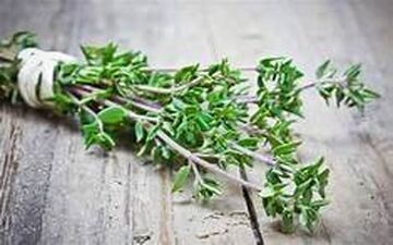 با خواص شگفت انگیز آویشن آشنا شوید