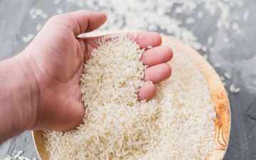 
قیمت جدید برنج ایرانی در بازار/ برنج ارزان در راه است؟
