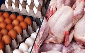 قیمت انواع مرغ و تخم مرغ در چهارشنبه ۳۰ آذر