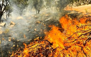 آتش‌سوزی در فضای سبز بلوار وکیل‌آباد مشهد مهار شد
