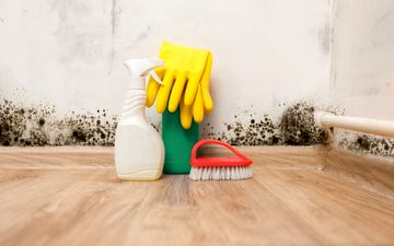 
کپک چگونه در داخل خانه به وجود می آید؟