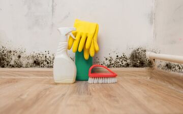 
کپک چگونه در داخل خانه به وجود می آید؟