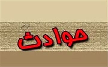 اقدام پلید تعمیرکار خانه با زن تنها / دستگیری متهم و دو نفر در رابطه با پرونده