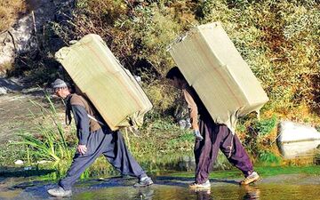 "کولبران" ساماندهی می‌شوند