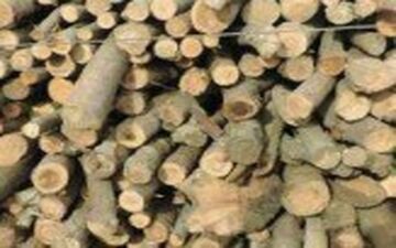 
کشف بیش از 6 تن چوب قاچاق در شفت
