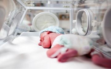 این ۲۳ استان زیر خط باروری قرار دارند