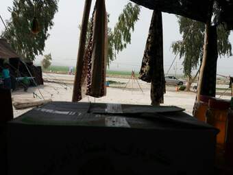 photod (18)