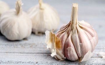 مصرف «سیر»از این بیماری جدی پیشگیری می‌کند