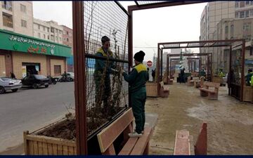 بهار امسال، بوی گل‌های معطر در محله ایران می‌پیچد