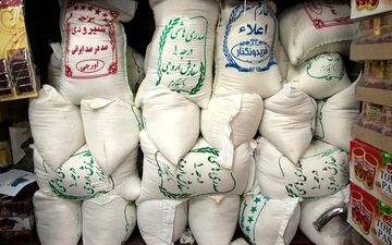 قیمت جدید برنج ایرانی اعلام شد + جدول مهر ۱۴۰۲ (هاشمی، عنبربو، نیم‌دانه، دم‌سیاه و...)