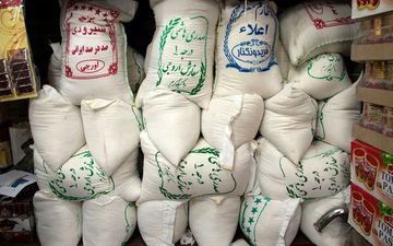 قیمت جدید برنج ایرانی اعلام شد + جدول مهر ۱۴۰۲ (هاشمی، عنبربو، نیم‌دانه، دم‌سیاه و...)