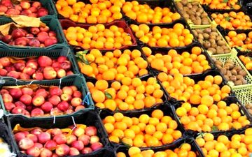 عرضه ۶۰ هزار تن سیب و پرتقال تنظیم بازار برای شب عید
