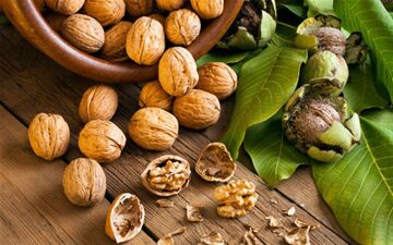 افراد دارای کبد چرب گردو مصرف کنند یا نه؟