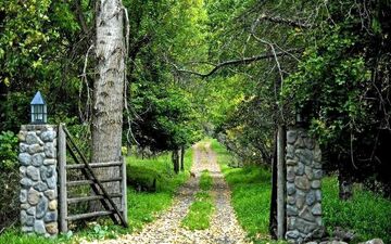  جنگل شروود ، جایی که در آن با رابین هود برخورد می کنید ‌