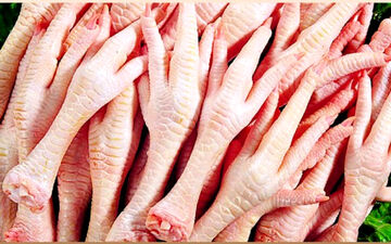 چرا چینی ها اینقدر پای مرغ می خورند؟