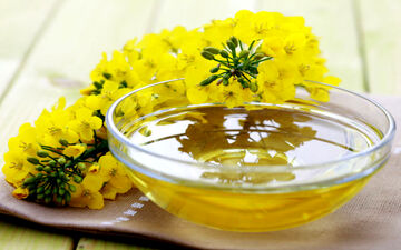  خاصیت‌های بی نظیر روغن کلزا که شاید ندانید