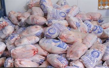 آغاز توزیع روزانه 20 تن مرغ منجمد در کرمانشاه با قیمت 255 هزار تومان 