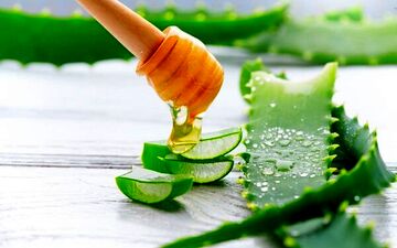 خواص سلامتی نوشیدن آب آلوئه ورا چیست؟