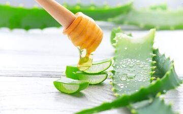 خواص سلامتی نوشیدن آب آلوئه ورا چیست؟