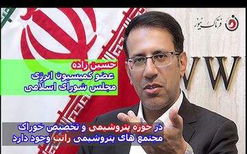 دلیل گرانی محصولات پتروشیمی مشخص شد / پای شرکت‌های صوری در میان است 