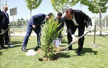 درختکاری مارک ویلموتس در بازدید از مرکز ملی فوتبال
