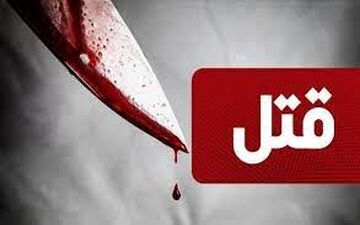 قتل خونین پیرمرد تهرانی به دست 2 مرد / دوربین های مداربسته فاش کردند